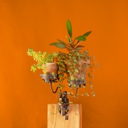 Porte Fleur Double Trouble